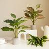 Реалистичное искусственное растение Легкий уход Не вянет Украшает сад Свадьба Искусственная зелень