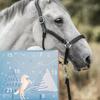 2025 HORSEBRANDS Advent Calendar 24 Days Countdown Daily Surprises & Christmas Gift Winter Sky Themed Calendar For Horse Owners