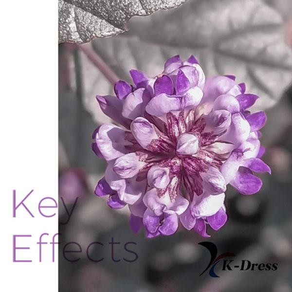 NEOGEN Real Bakuchiol Serum 30ml