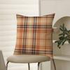Fashionable Check Pattern Design Pillow Case Comfort Sofa Bed Silky Elegant Invisible Zipper Decorative Cushion Cover