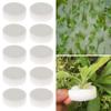 10/50pcs Hot sell Aquarium Cultivation Soilless Hydroponic Flower Pots Nursery Sponge Seed Trays
