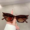Trendy Retro Cat Eye Shades Women New Fashion Leopard Gradient Sunglasses Outdoor Decor Beach Trends Sun Glasses