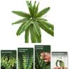 2Pcs Simulated Plants UV Resistant Artificial Ferns Realistic Greenery No Maintenance Indoor Outdoor Decor