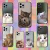 Милый чехол с животными, кошка, для iPhone 12, 14, 15, 16, 11, 17, 13, X, Mini, SE, XS, Plus, Pro, Max, 8, 7, XR, Мягкий силикон, Черный