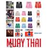 Muay Thai Shorts Pants Ribbon Kickboxing Boxing MMA UFC Martial Arts Fight Unisex Men Women Kid Quick Dry Print Elastic High Waist Polyester Training