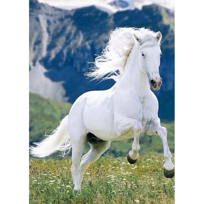 Diy Лошадь 5D алмазная живопись полная круглая дрель вышивка крестиком горный хрусталь животное живописная Алмазная вышивка мозаика домашний декор