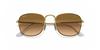 Солнцезащитные очки 0RB3857 FRANK 919651 CLEAR GRADIENT BROWN 51 [Ray-Ban]