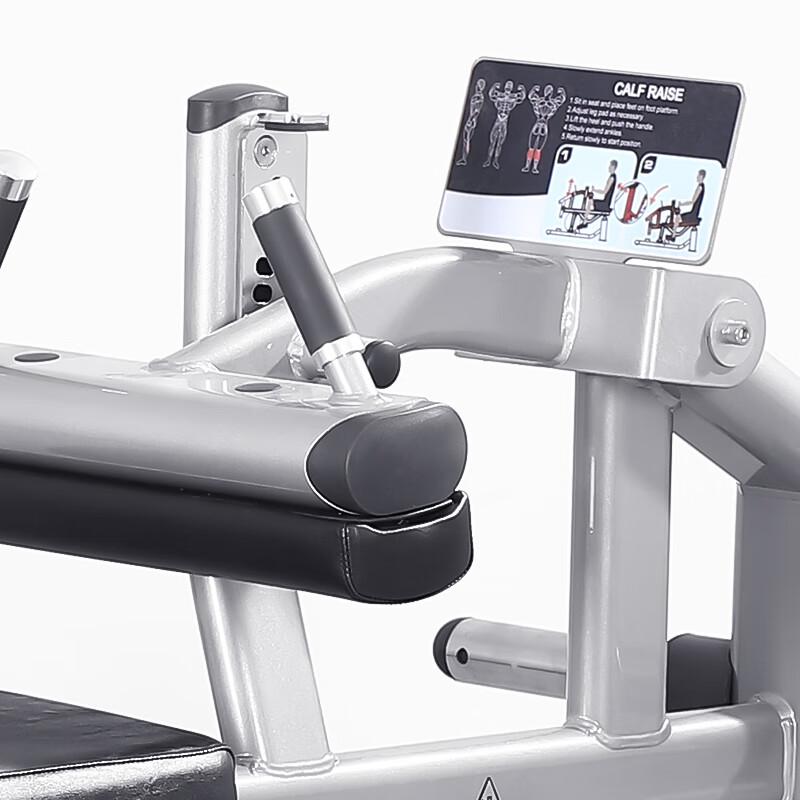 WeiBu FWM07 Commercial Seated Calf Trainer
