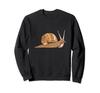 Cute Snail Drawing Slug Drawing Snail Drawing Sweatshirt