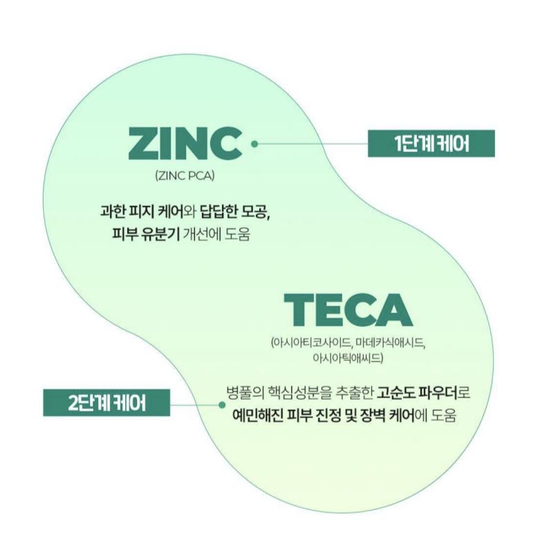 [BRINGGREENxSquid game] ZINC TECA Сыворотка от пятен 25 мл Сменный блок 25 мл Squid Game2 Gong-gi game