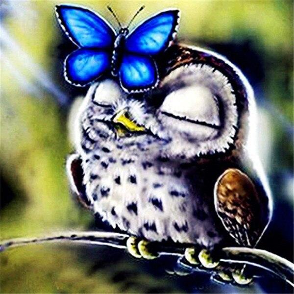 50X50CM Diy Алмазная картина Сова 5D Алмазная мозаика Распродажа Мультфильм Фотографии Стразами Вышивка Декор для дома