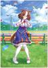 Ichiban Kuji Uma Musume 4th Edition Last One Prize Illustration Board Single Item [Meishodotou] (Формат А4)