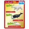 Takara Tomy Ania Ania Illustrated My First Aquatic Popular Arctic Sea Creatures Ages 3 and Up Guide Creatures, Set, Animals, Dinosaurs, Toys,