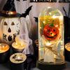 Pumpkin Dome Light LED Clear Cloche Pumpkin Night Light for Halloween Home Kitchen Tabletop Mantel Garden Poolside Decor