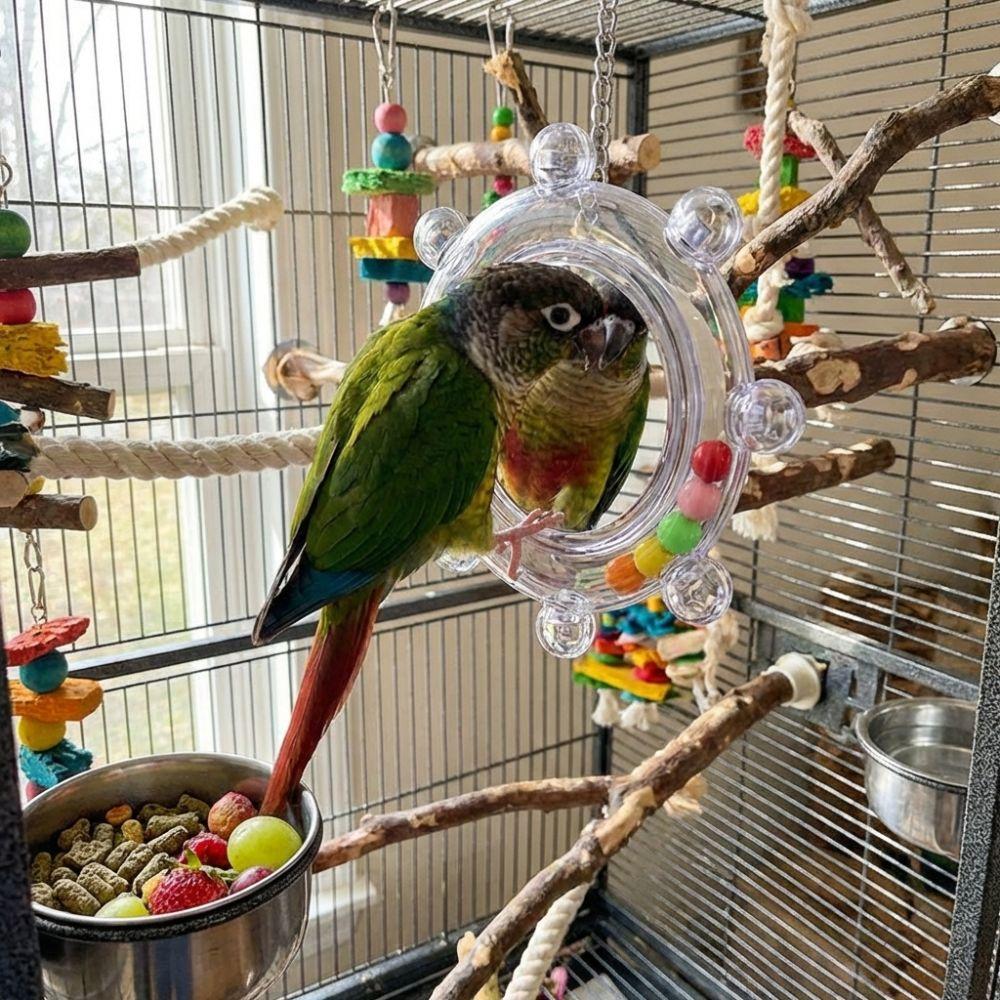 Wear-Resisting Bird Mirror Perch Colorful Ball Bird Flying Saucers  Bird Supplies