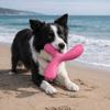 EVA Pet Interactive Flying Disc Wear-Resistant Dog Training Toy Creative Tooth Chew Toy  Backyard