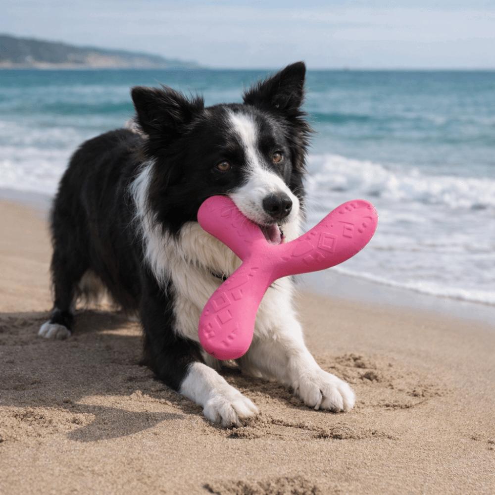 EVA Pet Interactive Flying Disc Wear-Resistant Dog Training Toy Creative Tooth Chew Toy  Backyard