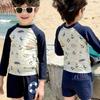2025 New Boys' Cute Quick-Dry Ocean-Themed Split Swimsuit Beachwear
