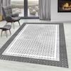 Washable Printed Carpet LNA0910-FNL127