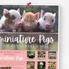 Miniature Pigs 2026 Wall Calendar Cute Baby Pig Animal 12 Monthly Calendar Piglets Gifts for Home Office Organizing Planning