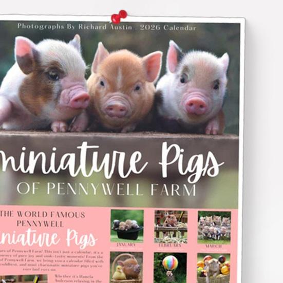 Miniature Pigs 2026 Wall Calendar Cute Baby Pig Animal 12 Monthly Calendar Piglets Gifts for Home Office Organizing Planning