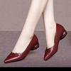 Sapatos Femininas Women Classic Wine Red Spring Slip On Square Heel Shoes for Sexy Party Lady Office Work Shoes Ab665