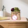 Полезный горшок для растений Креативный Легкий Декоративный