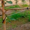 10Pcs Anti-Slip Metal Limb Spreaders Branch Bending Clips  Outdoor Farm Planting