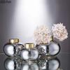 Creative Transparent Elliptic Glass Vase Desk Decoration Flower Arrangement Flower Pots Modern Floral Vases Room Aesthetic Decor