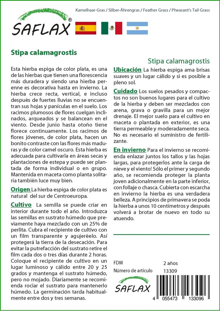 SAFLAX Ковыль / Трава фазаньего хвоста - 50 семян - Stipa Calamagrostis