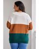 Azura Exchange Brown Plus Size Ribbed Trim Color Block Sweater