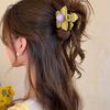 Hairpin Flower Hair Claw Plastic Plastic Shark Clip Creative Hair Crab Clip  Vacation