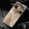 Чехол для телефона Samsung Galaxy S26 S25 S24 S23 S22 S21 Ultra S24 S23 S22 S21 S25 Plus S24 FE Милые кошки