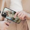 Сапфическая Ренессансная Картина Магнитный Чехол для Телефона ДЛЯ APPLE iPhone 17 Air 16 14 13 12 Pro Max 15 Plus Беспроводная Крышка MagSafe
