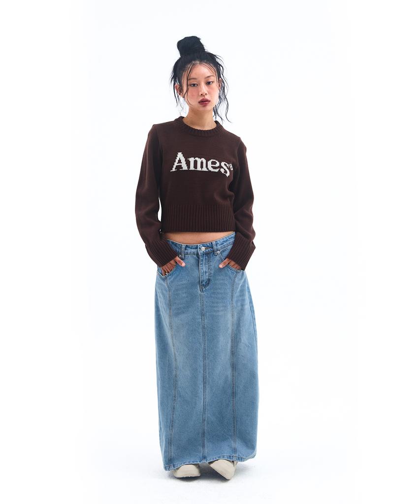 AMES-WORLDWIDE Basic Pullover Knit Brown