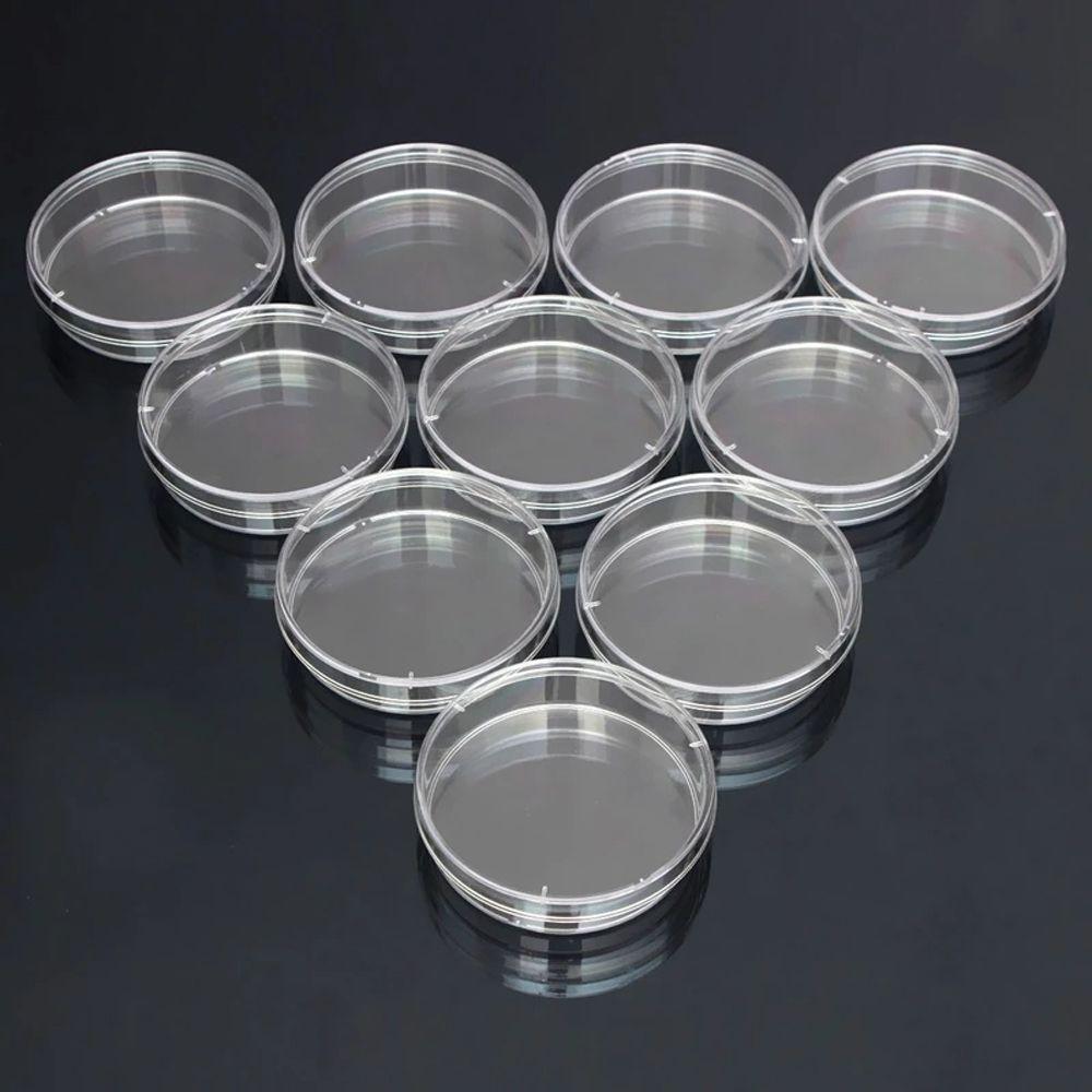 55x15mm 90x15mm Clear Petri Dish Sterile Petri Dishes Petri Dishes Bacteria Culture Dish