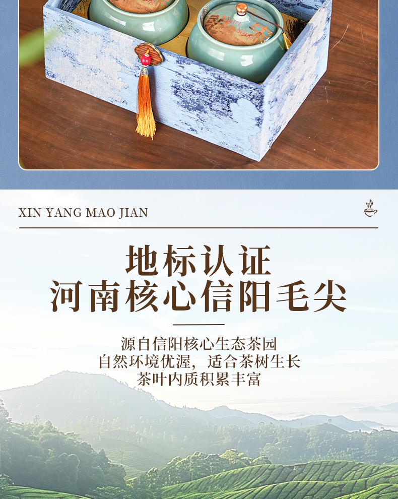 Xiaocha Diary Mingqian Xinyang Maojian Green Tea Biluochun Mengding Ganlu High Mountain Tea Gift Box 250g