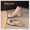 Fashion Ladies Elegant Mary Jane Shoes Fashion New Chunky Heel Dress For Women 2025 Spring Soft Comfortable Classic Double Buckle Shoes