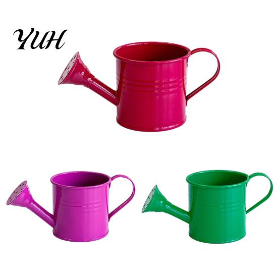 Modern Garden Decor Accessories Metal Watering Can for Outdoor Plants, Small Kettle with Handle Balcony Succulents Flowers, Decorative Floral