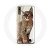 Case for Huawei P30 Lite Siamese Cat Breed