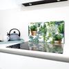 2x GLASS PROTECTIVE PLATE FOR STOVE 40x52 CACTUS