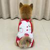 Underwear Female Dog Diapers Washable Cat Shorts Pet Physiological Pants  For Dog/Cat