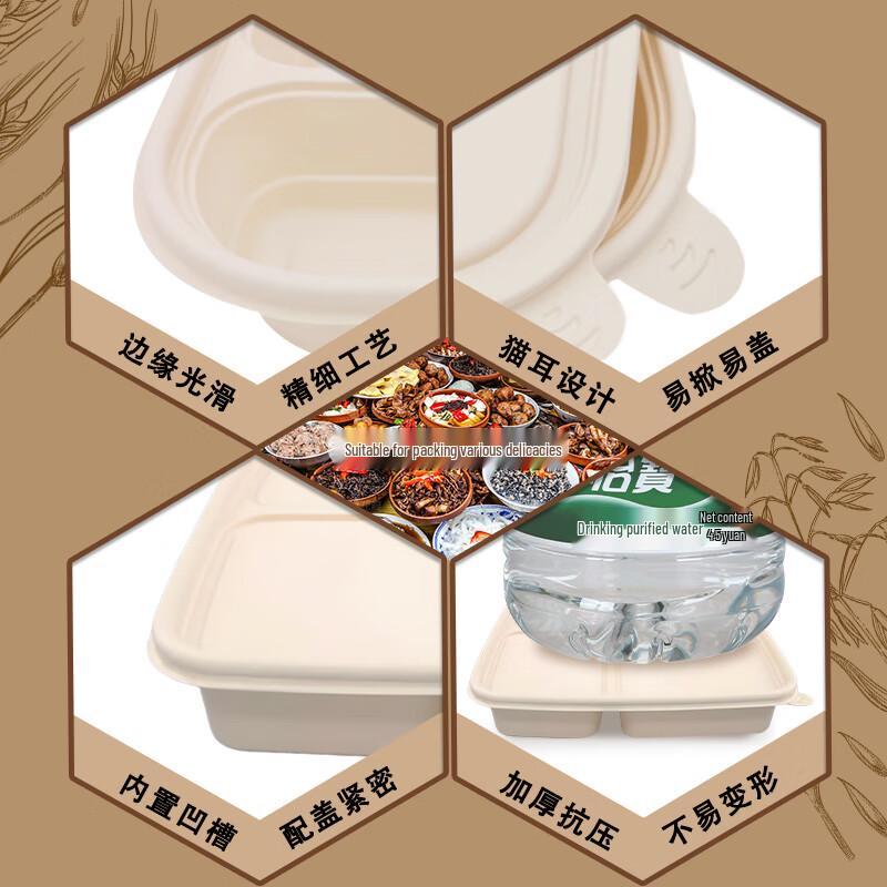 Eco-Friendly 4-Compartment Biodegradable Takeaway Containers