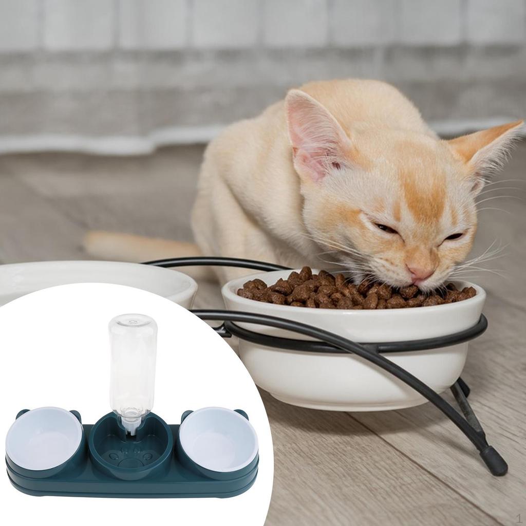 2 Food Bowls and Water Feeder Set Wet Dry Bowl Easy Cleaning Pets Supplies Pet Feeding