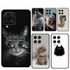 Милые котики в комплекте Чехол для Samsung Galaxy M11 M21 M31 M12 M13 M14 M15 M35 M34 M54 M33 M53 M32 M52 M06 M16 M55