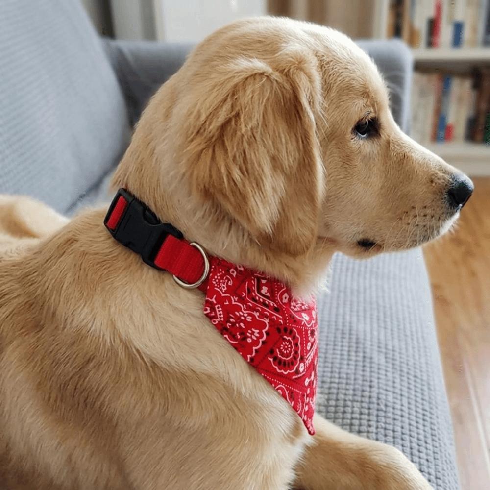 Регулируемое слюнявчик для питомца Красный нагрудник для собаки Корги Треугольный шарф для питомца Впитывающий слюну для собаки
