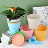 2Pcs Flower Pot Colorful Round Large Mouth PP Drainage Holes Plant Container With Saucer Lightweight Thick Nursery Pot