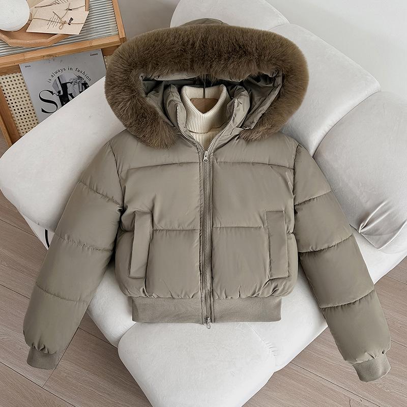 Winter new fashion versatile hooded down cotton clothes short big fur collar thickened loose small coat
