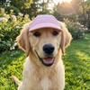 Adjustable Cat Sun Hat Wide Brim Dog Baseball Cap Pet Sports Hat Dog Sunscreen Cap  Daily Outdoor