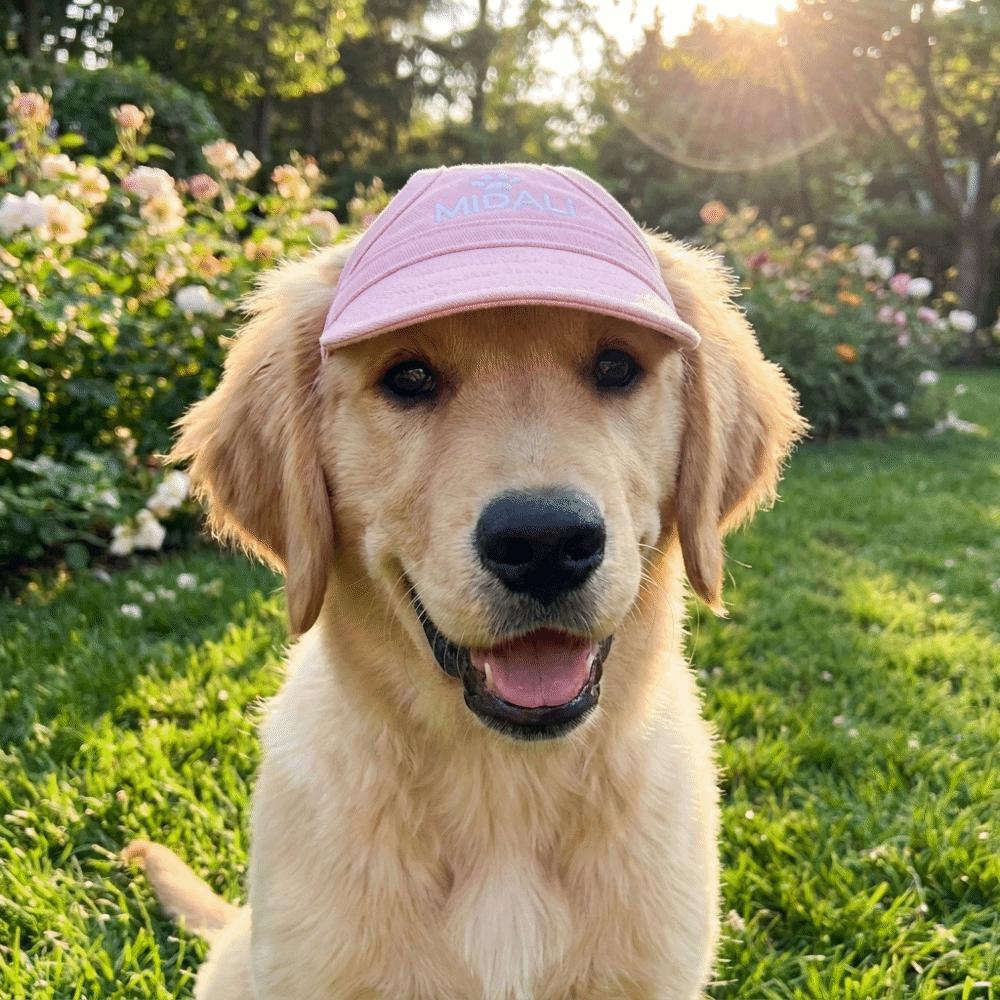 Adjustable Cat Sun Hat Wide Brim Dog Baseball Cap Pet Sports Hat Dog Sunscreen Cap Daily Outdoor